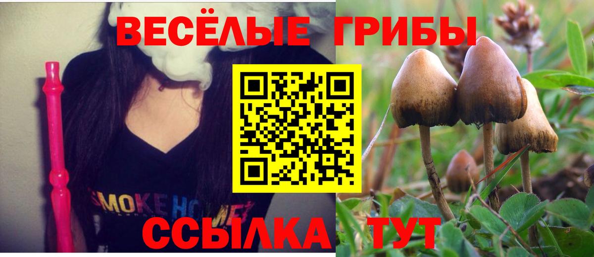 Галлюциногенные грибы MAGIC MUSHROOMS Фурманов